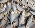 Khô Cá Ét Đặc Sản Phan Thiết, Bình Thuận